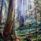 The Ten Most Beautiful Places in California