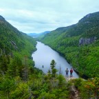 East Coast Old Growth: Meditations on the Wildness and Fecundity of Place